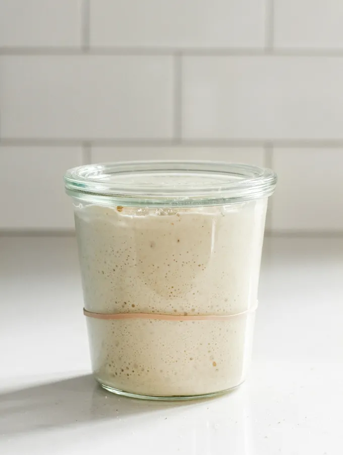 Sourdough Starter Troubleshooting and Frequently asked Questions' title='Sourdough Starter Troubleshooting