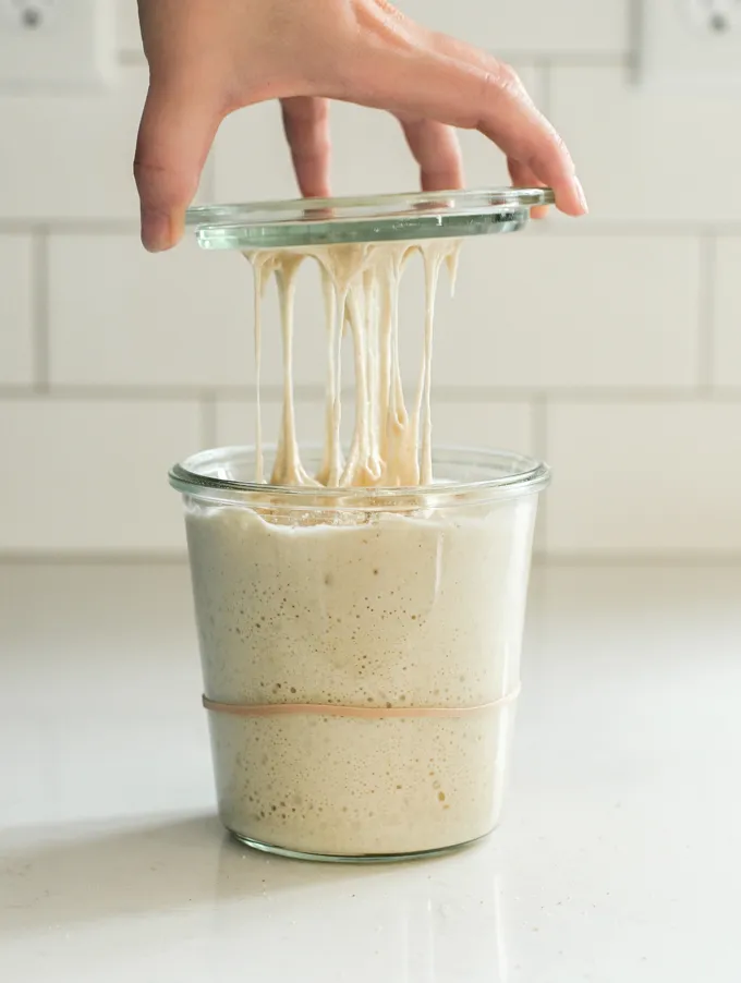 Sourdough Starter Troubleshooting ideas and frequently asked questions!' title='Sourdough Starter Troubleshooting