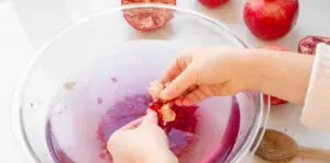 Breaking arils off of the membranes.' title='How to Remove Seeds from a Pomegranate