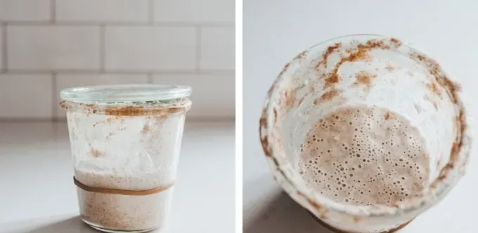 Day 10 AM' title='Sourdough Discard Waffles Recipe