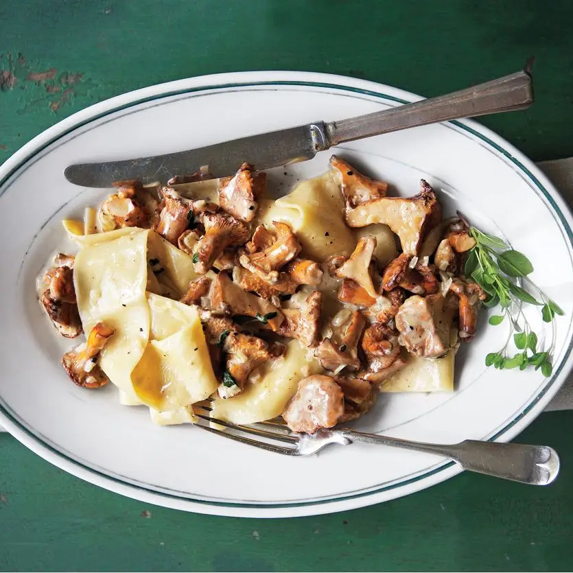 Fricassee de Chanterelles