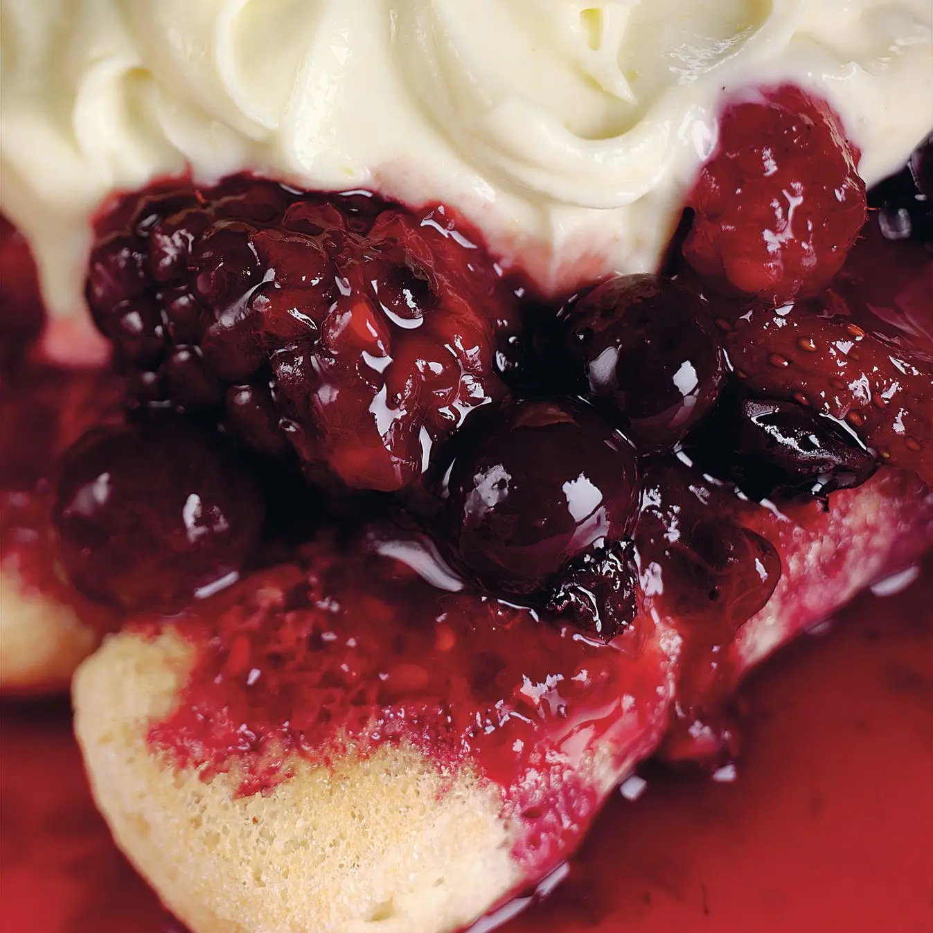 Tiramisù da Berro misto com coalhada de limão