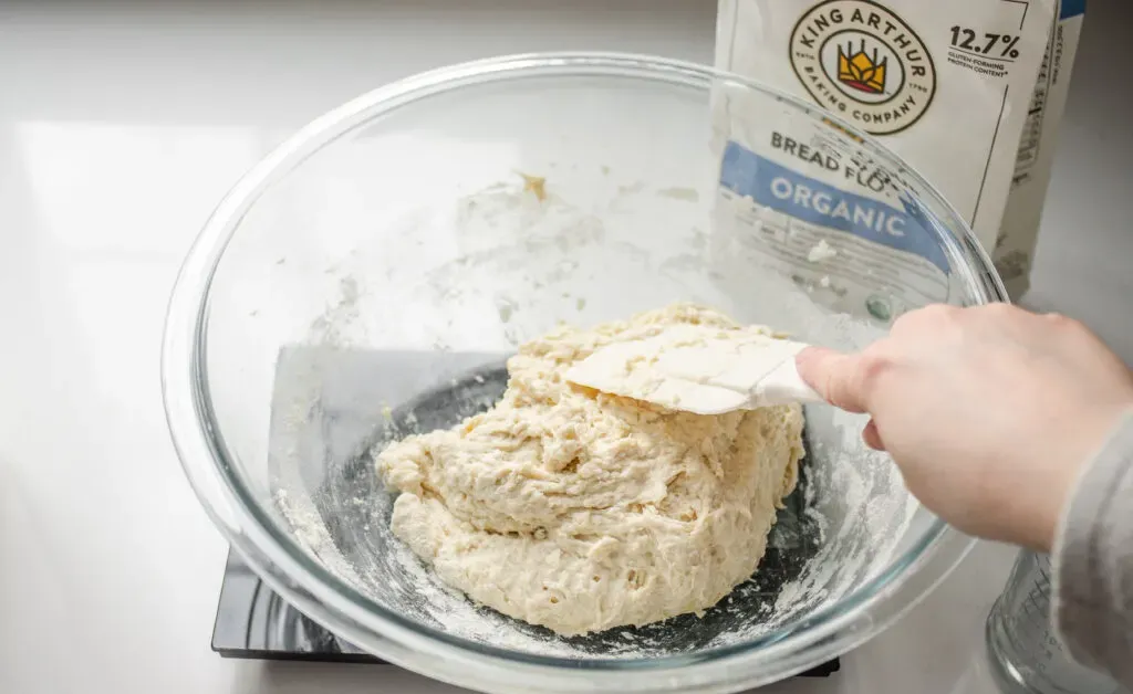 Mixing to form a shaggy dough.' title='Sourdough Pizza Crust Recipe