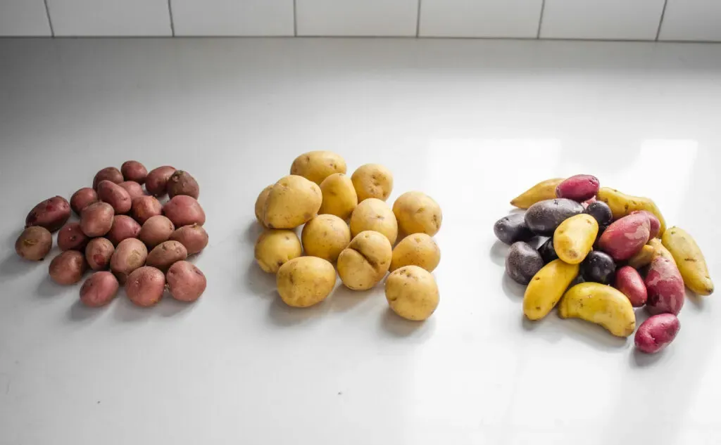 Three kinds of mini potatoes on a white counter: baby reds baby Yukon gold potatoes and fingerling potatoes.' title='Roasted Little Potato Recipe