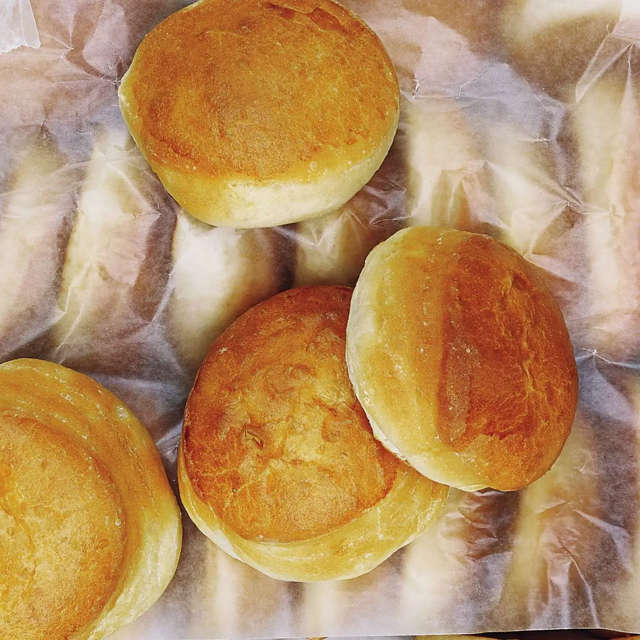 Pães de hambúrguer