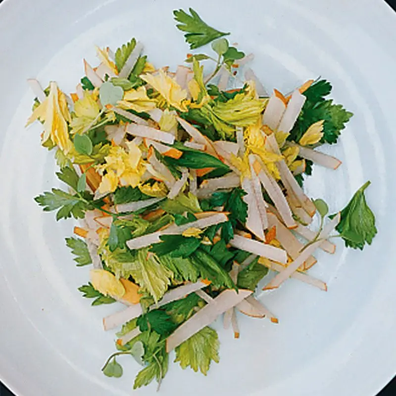 Salada, folha de aipo e salada Jicama