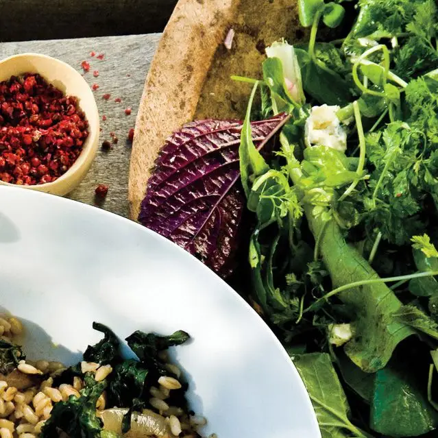 Salada frondosa sem letutura