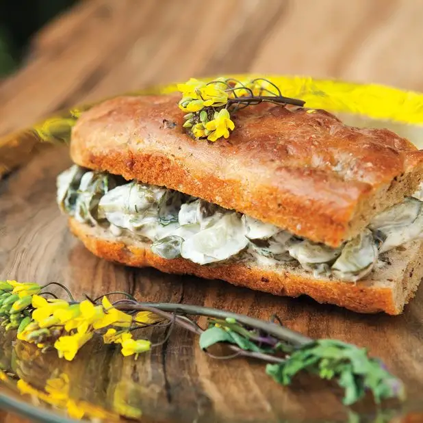 Sanduíches de pepino assados