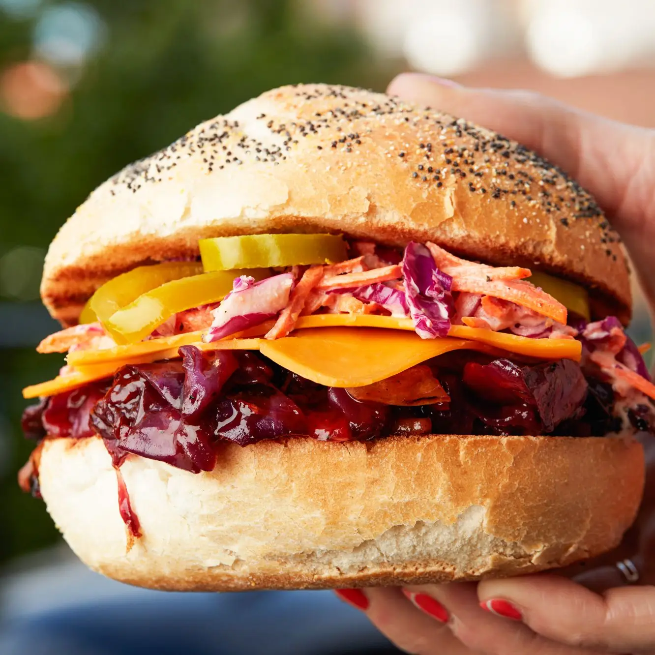 Sanduíches de repolho de capa de cerveja