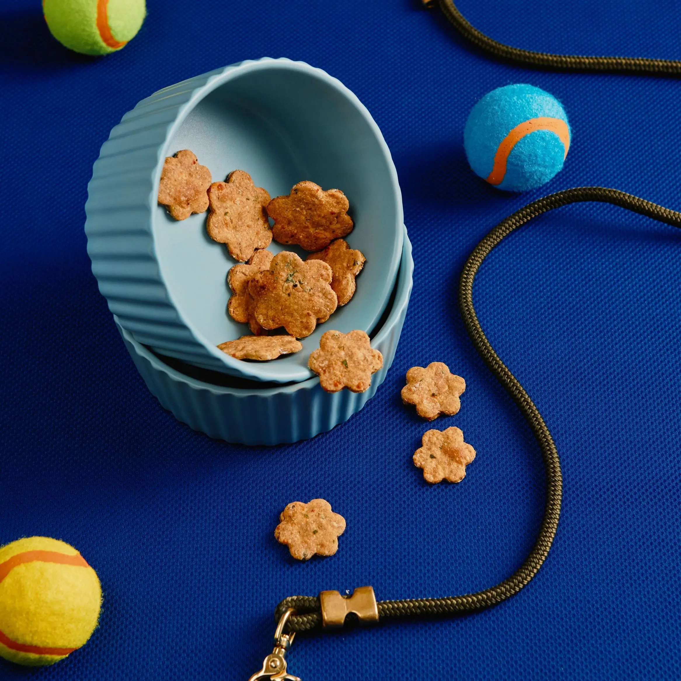 Tulos caseiros para cães