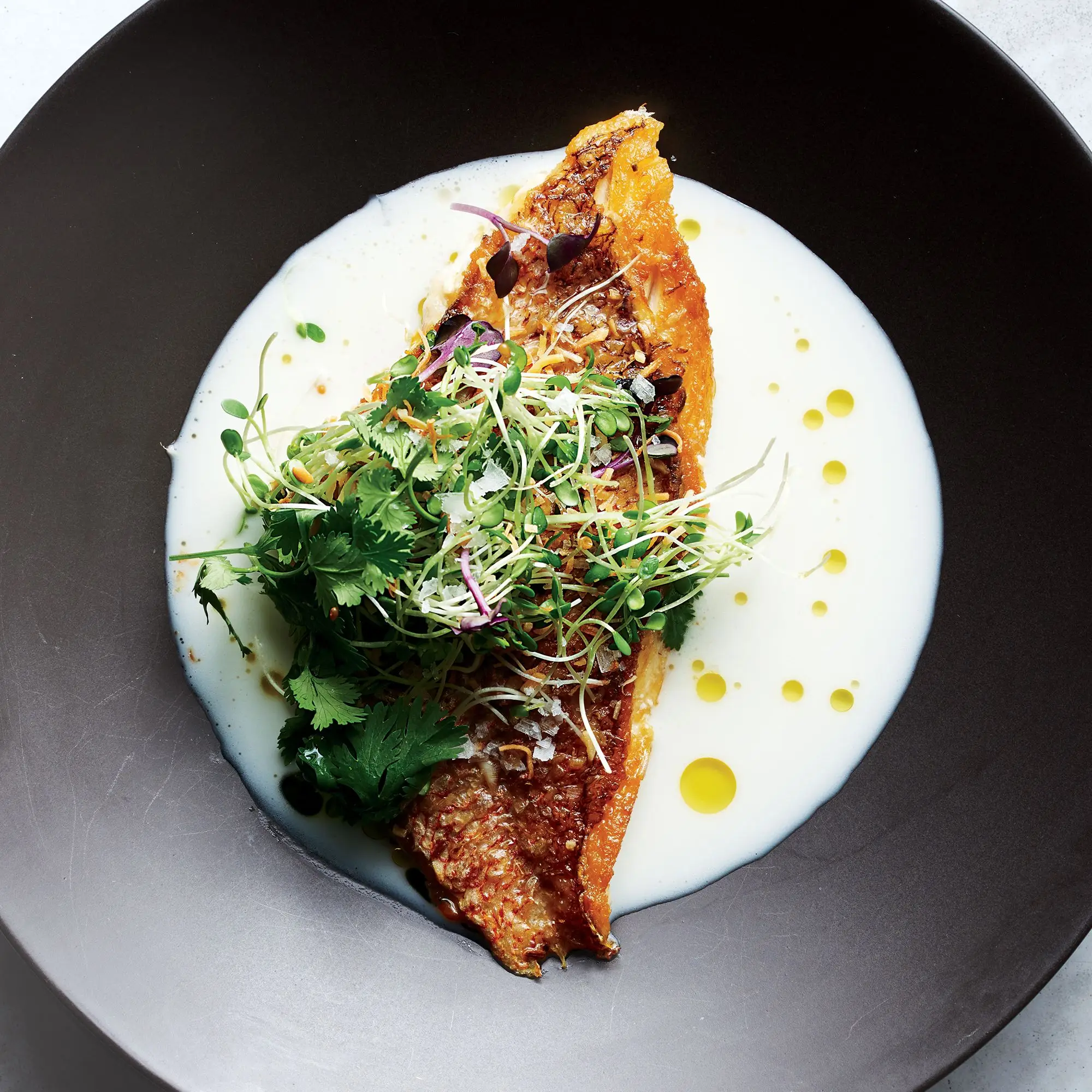 Vapore rosso con brodo di cocco