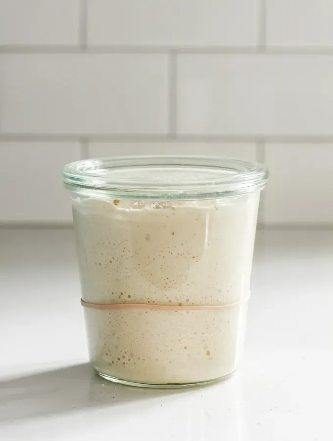 Sourdough Starter Troubleshooting and Frequently asked Questions' title='Sourdough Pie Crust
