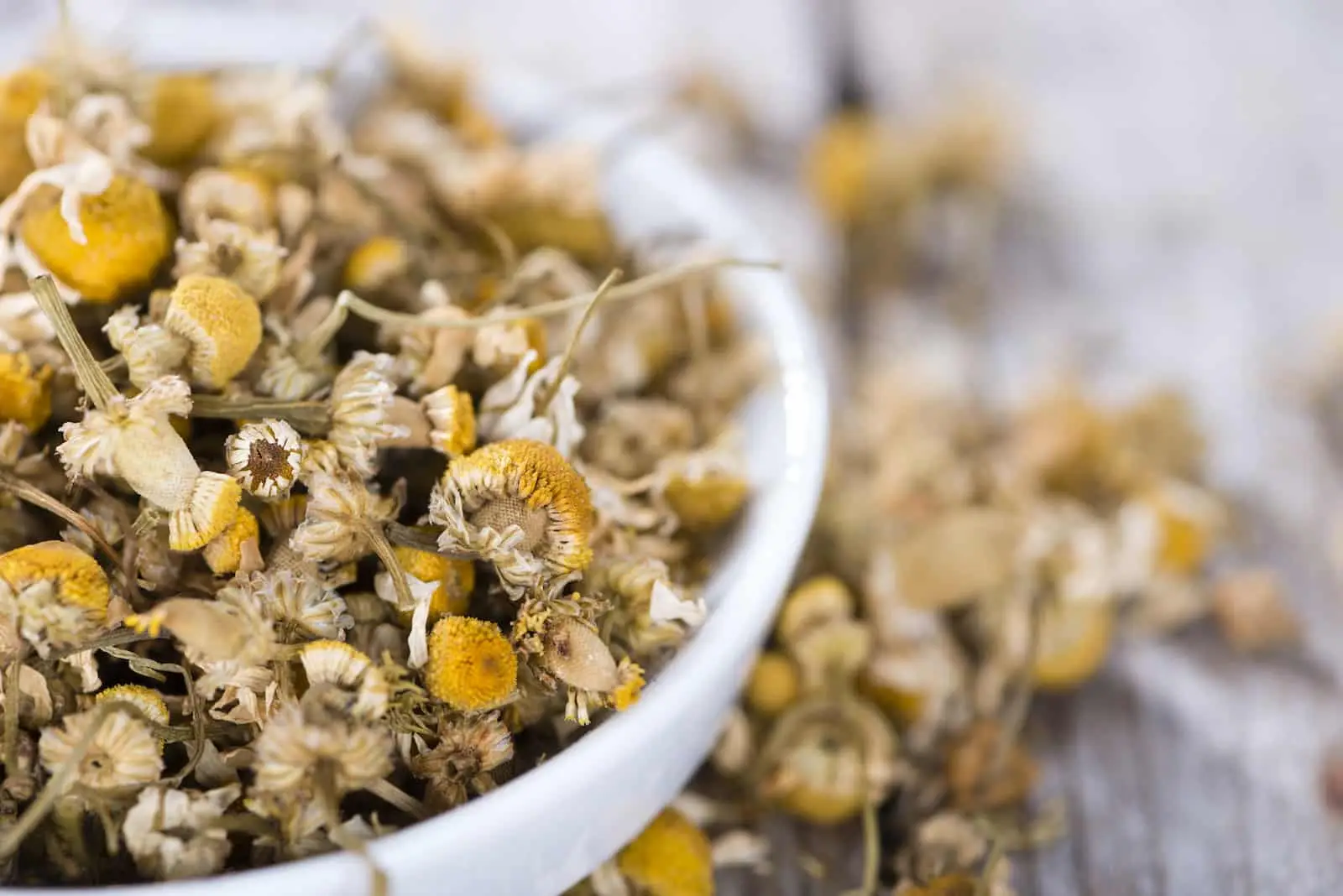 Camomila: uma erva de chá para dormir