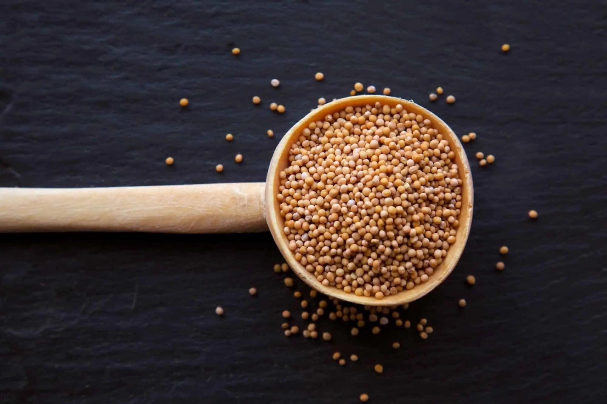 Sete saborosos usos de sementes de aipo