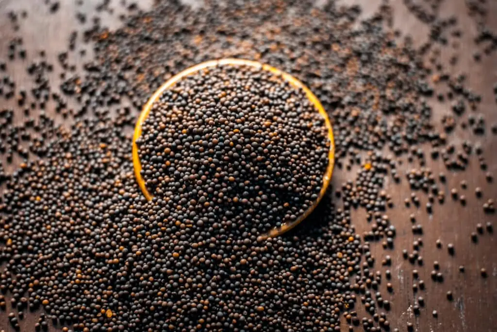 Brown Mustard Seeds