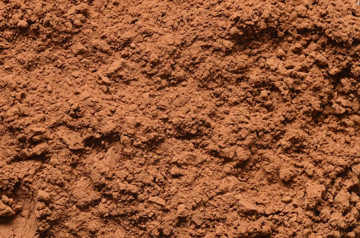 Carob vs. CACAO - Como eles se comparam?