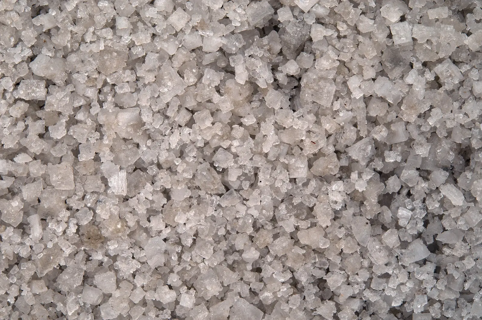 Sal marinho celta: um sal bretão úmido