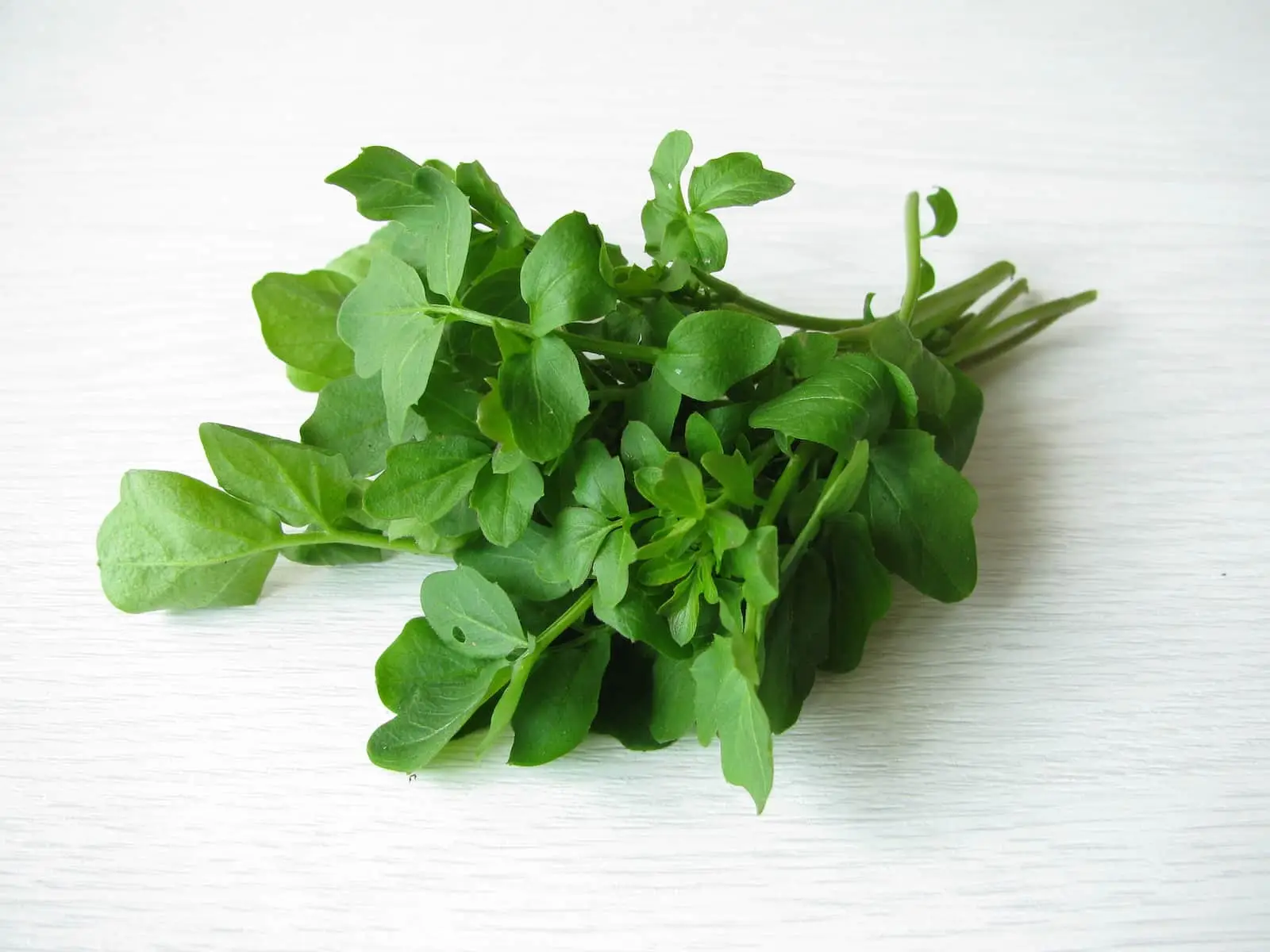 O que é um bom substituto de agrião?