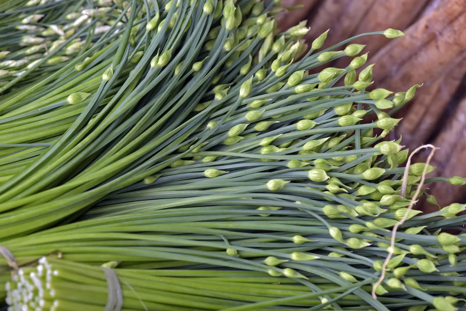 O que é um bom substituto de cebolinha de alho?