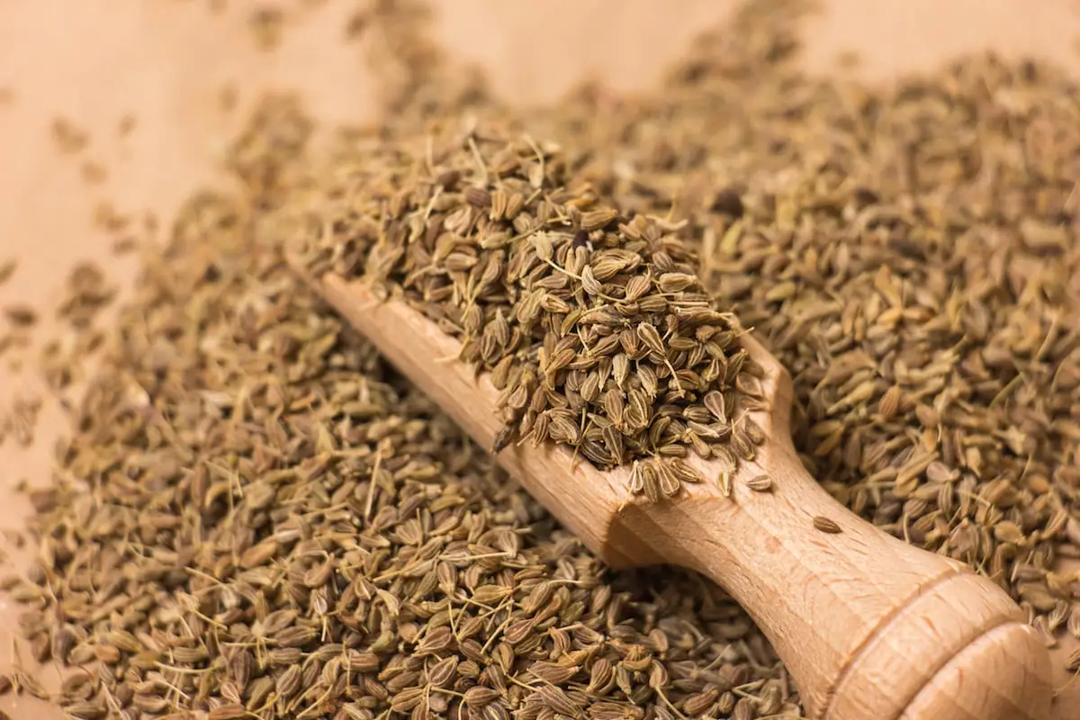 Semente de anis: mais do que um sabor para salsicha italiana