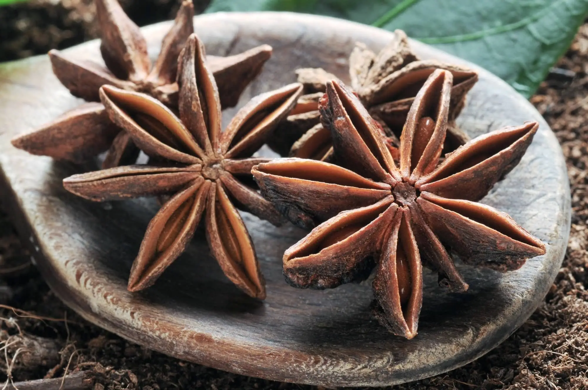 cloves vs. star anise
