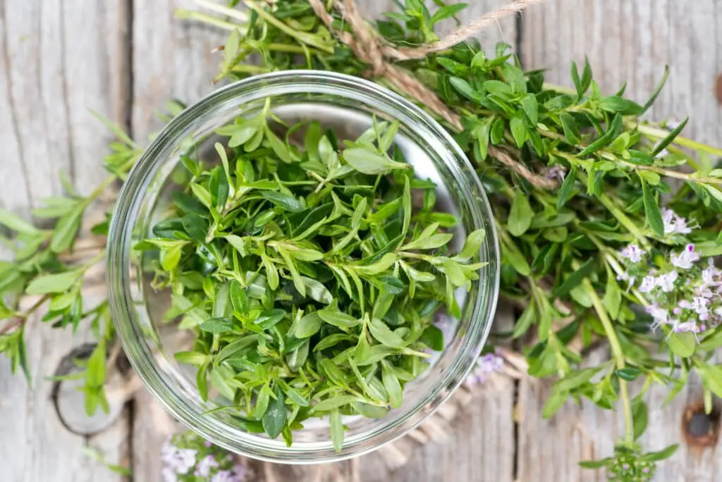 Winter savory substitute