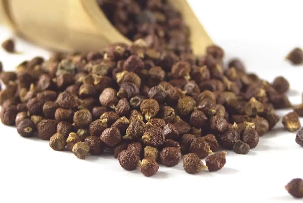 Qual è un buon sostituto per i fagioli di pomodoro?