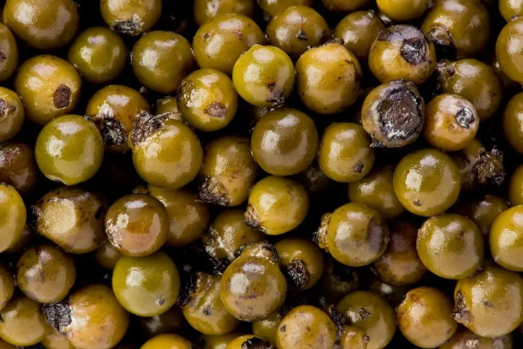 Green Peppercorns