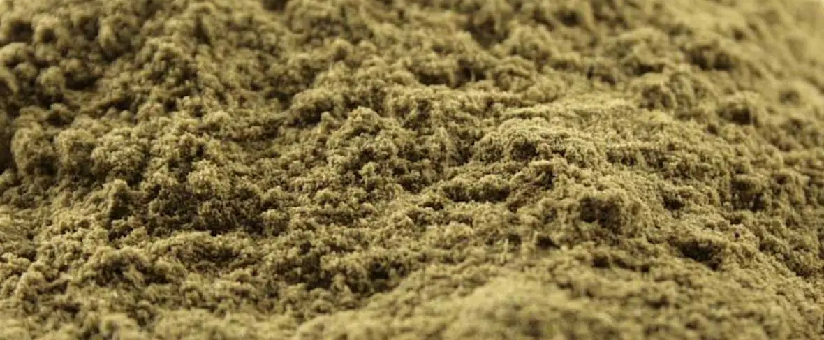 Arquivo Gumbo em pó: The Choctaw Spice