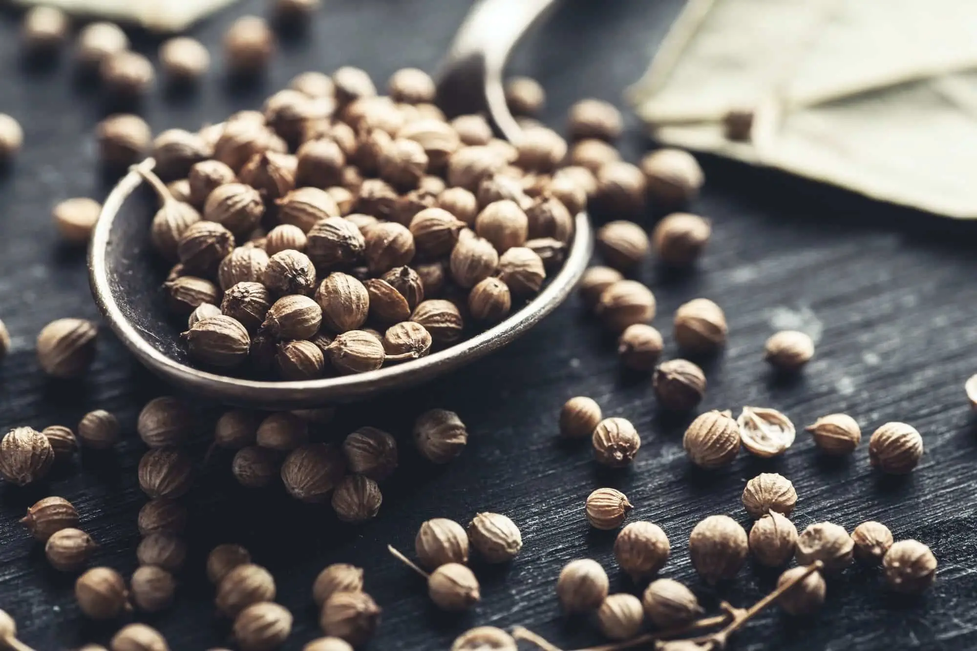 Muito coentro? Eliminar a amargura com essas soluções