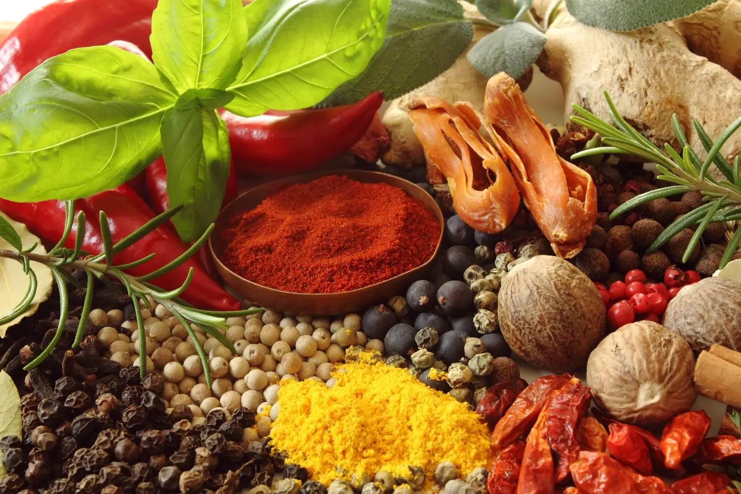 Erva vs. Spice: Como eles diferem?