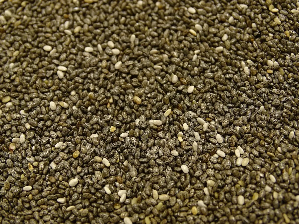 O que é um bom substituto de sementes de chia?