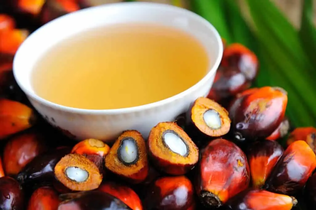 Palm Oil Vs. Palm Kernel Oil