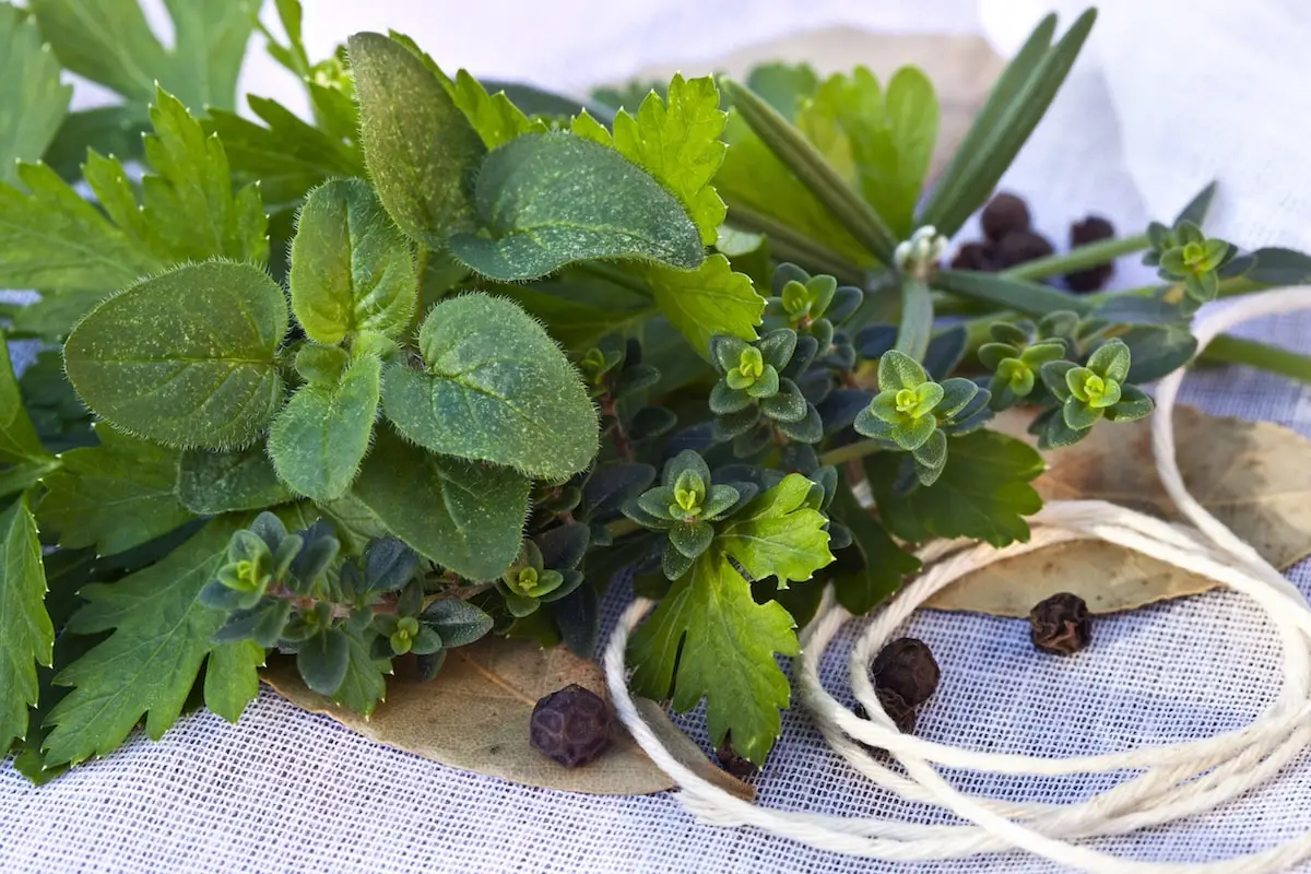 Bouse Garni: Französisch zu Wasser