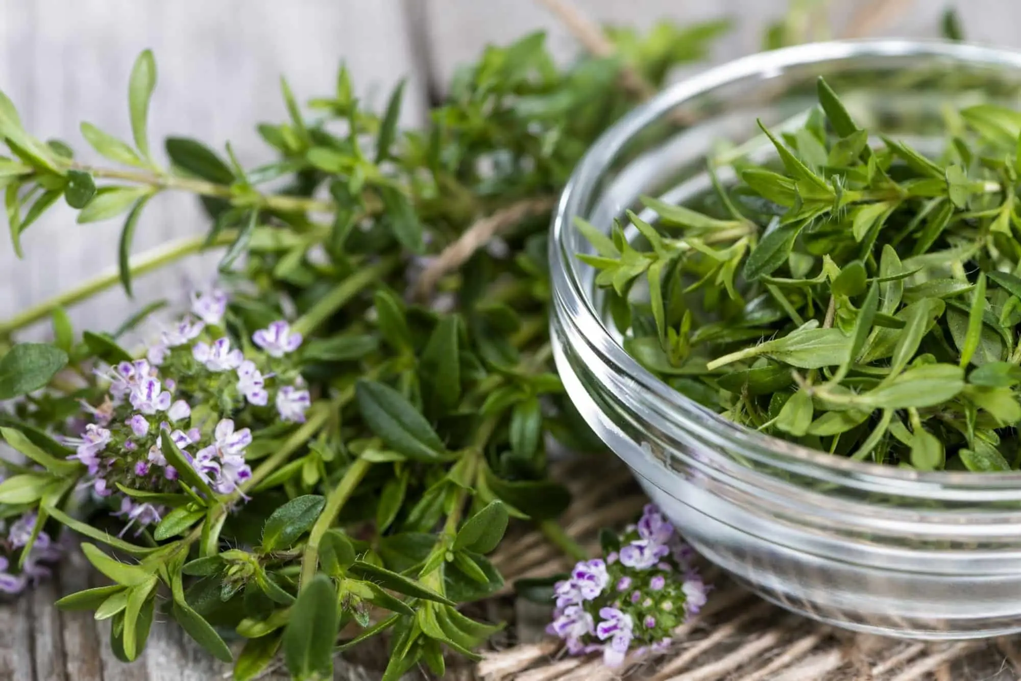 Nove deliciosos usos salgados de inverno