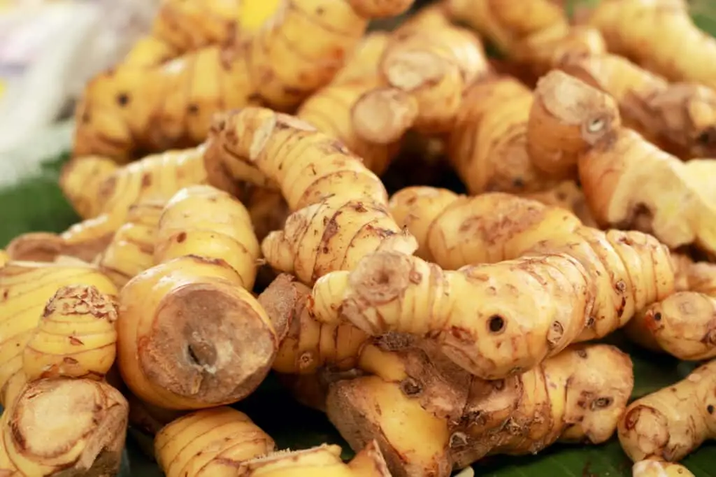 Galangal vs Ginger