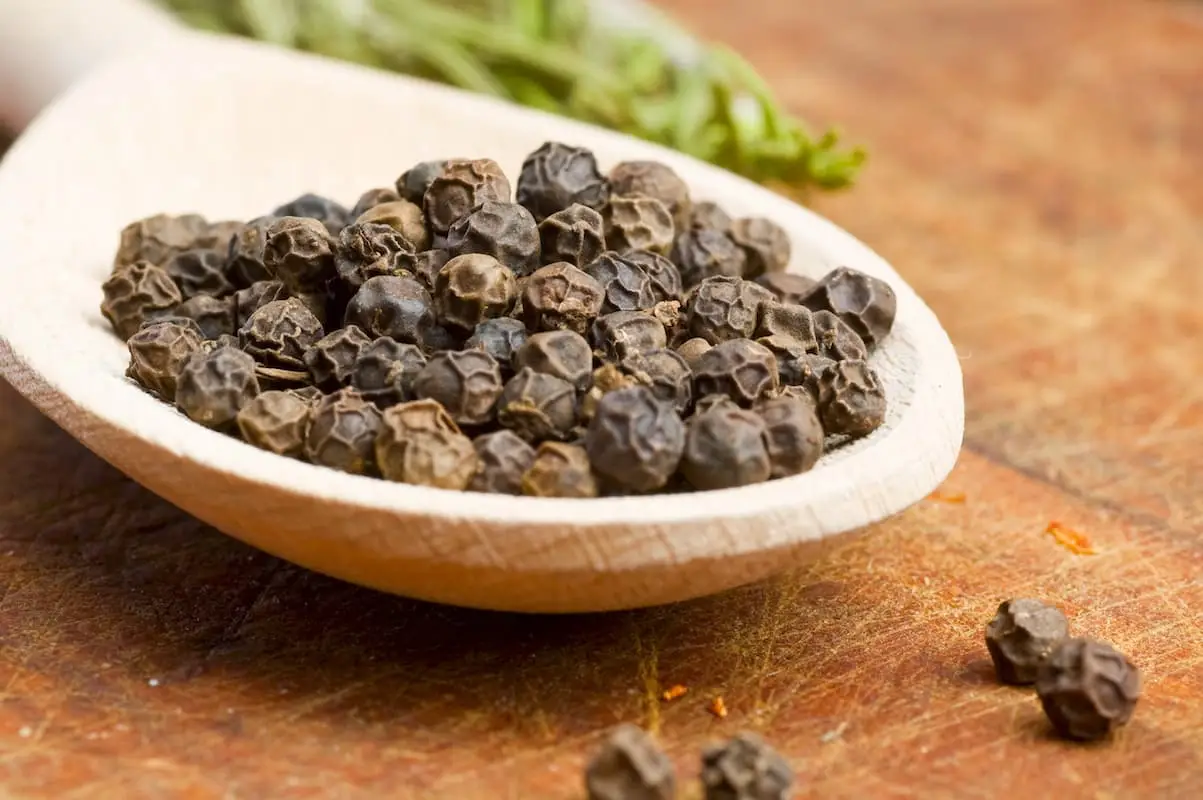 O que é um bom substituto de pimenta preta?