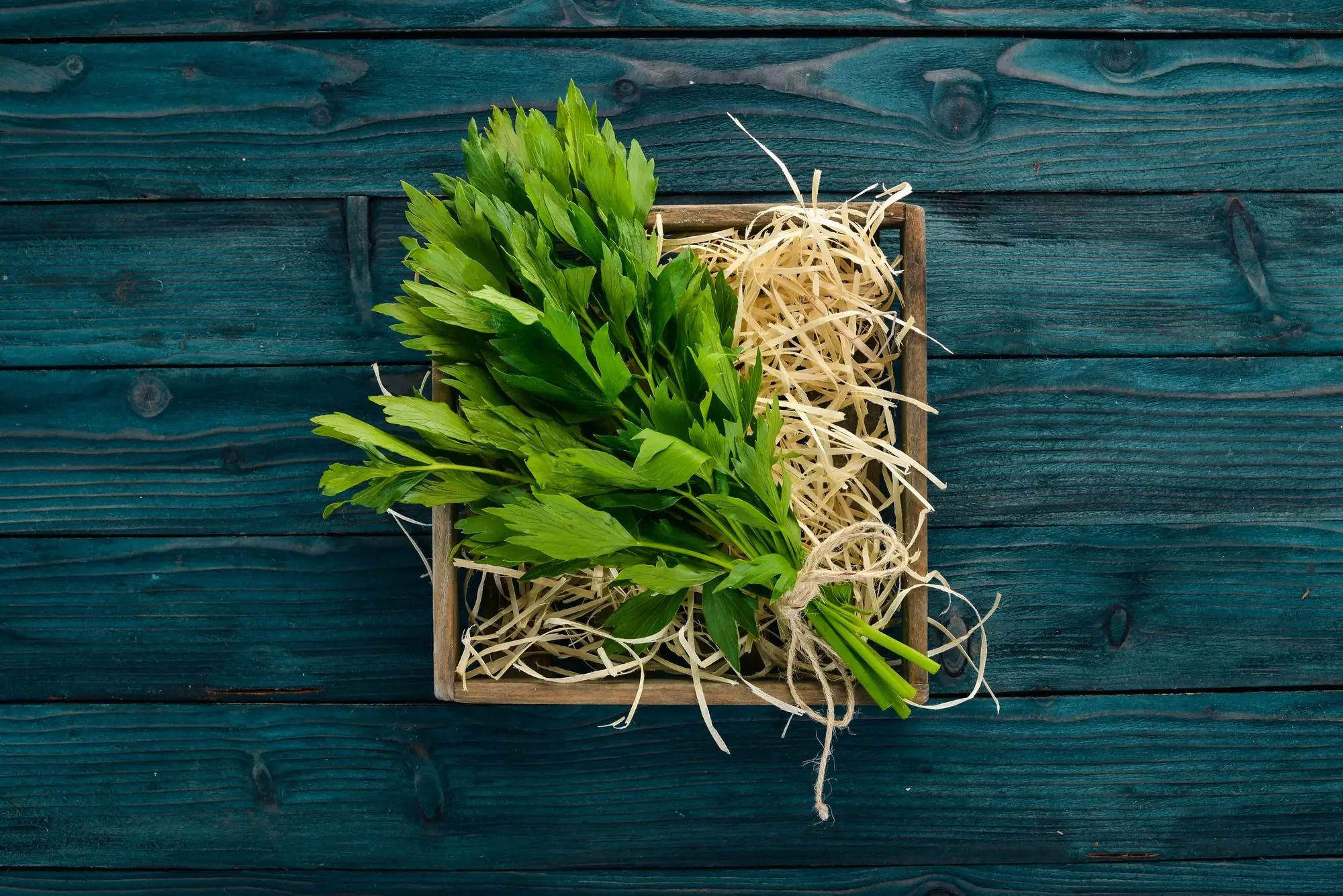 Sete folhas de aipo saborosas (e saudáveis)