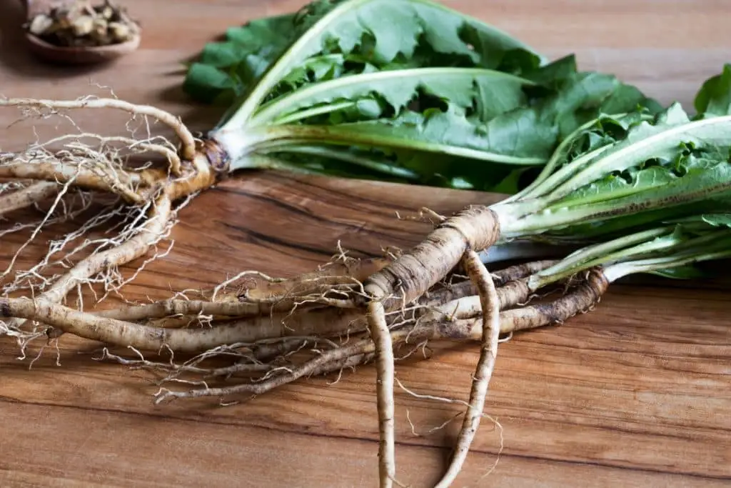 Dandelion root vs milk thistle