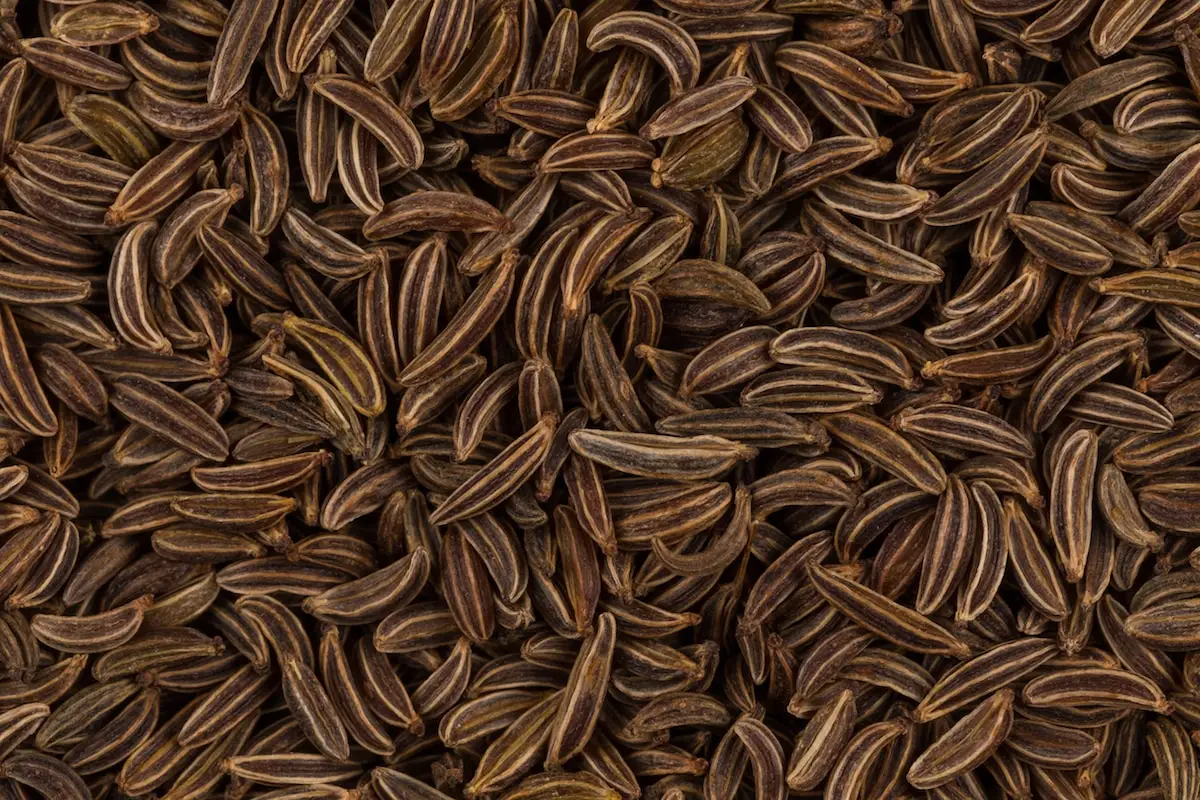 Sementes de cominho: um antigo mundo favorito