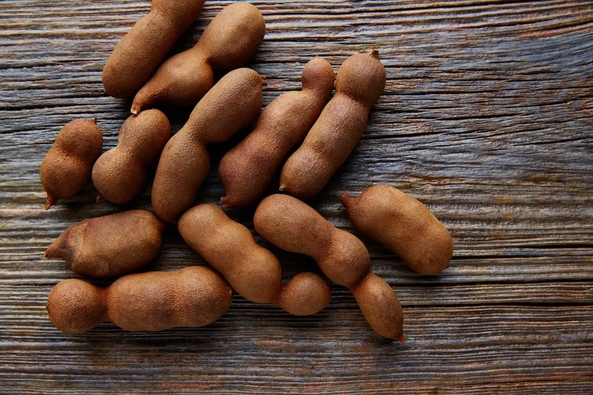 Tamarindo: uma leguminosa tropical azeda