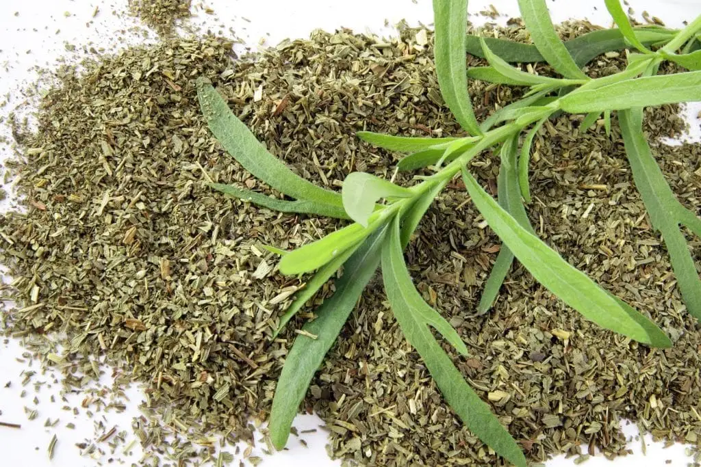 Dried tarragon vs fresh tarragon