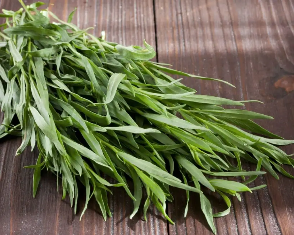 Tarragon vs. Dill: Spiceography Showdown