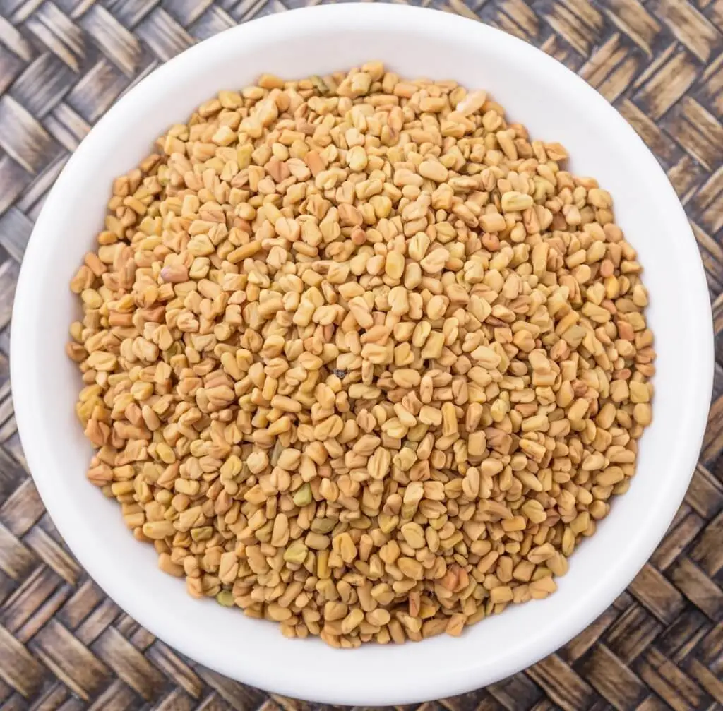Fenugreek