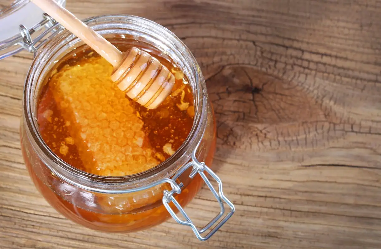 Açúcar vs. Honey: Spiceography Showdown