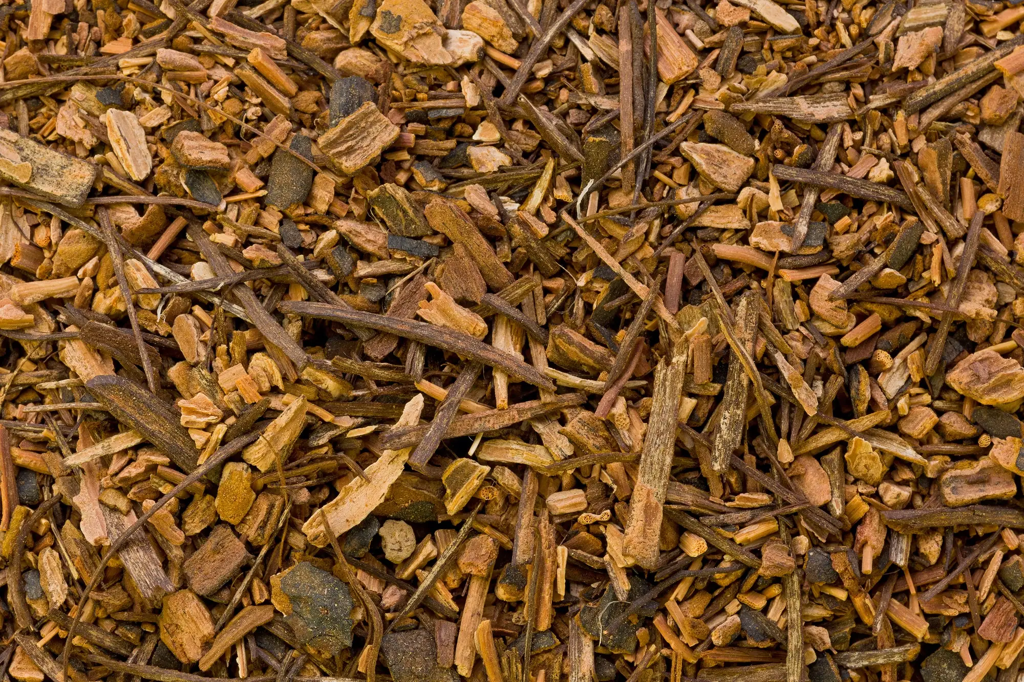 Sarsaparilla: um rizoma das Américas