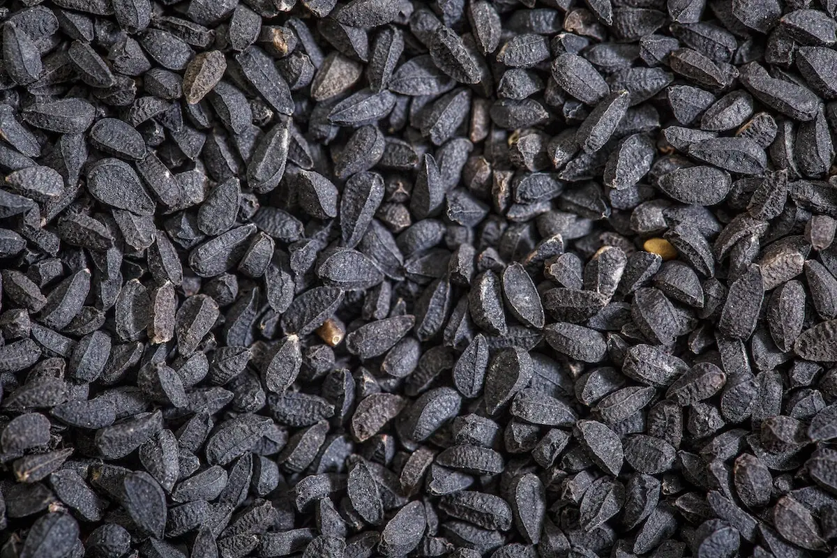 Nigella Seeds: o tempero com sabor de orégano