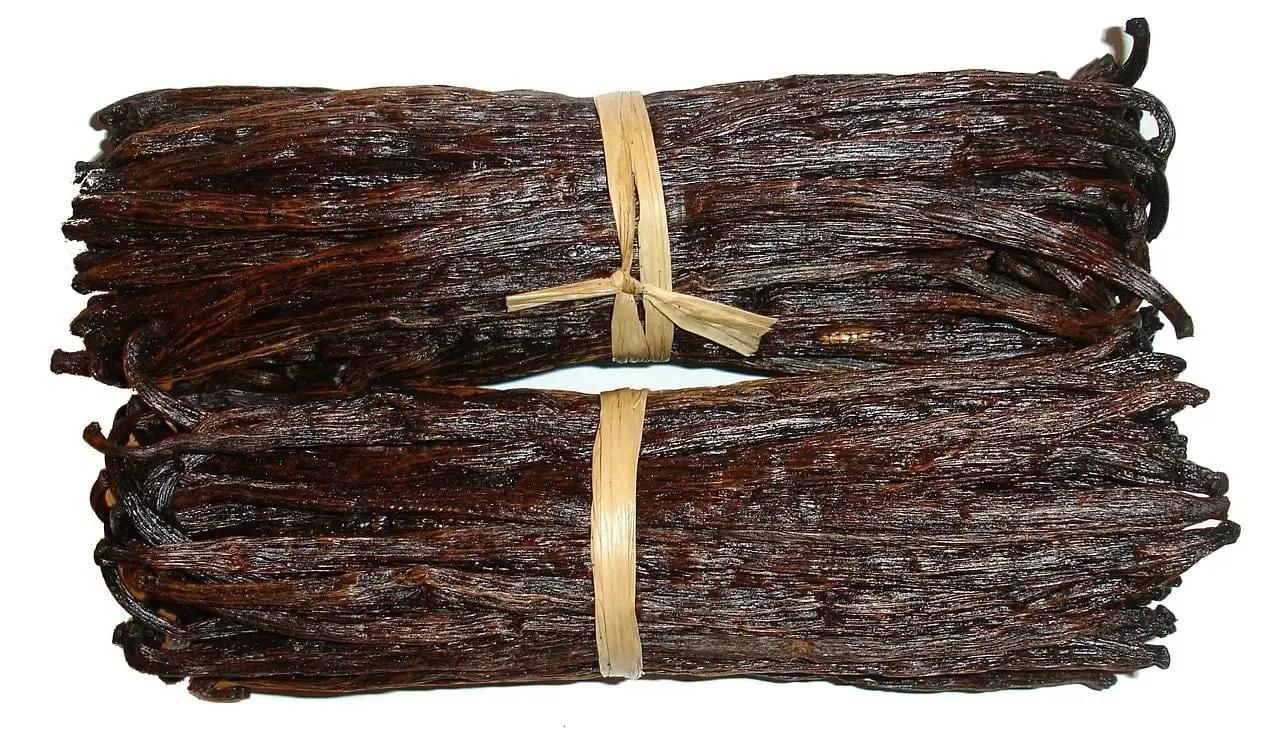 Vanilla: um sabor das orquídeas