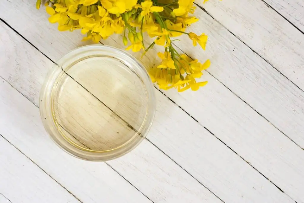 Óleo de Canola vs. Óleo vegetal: confronto de espiceografia