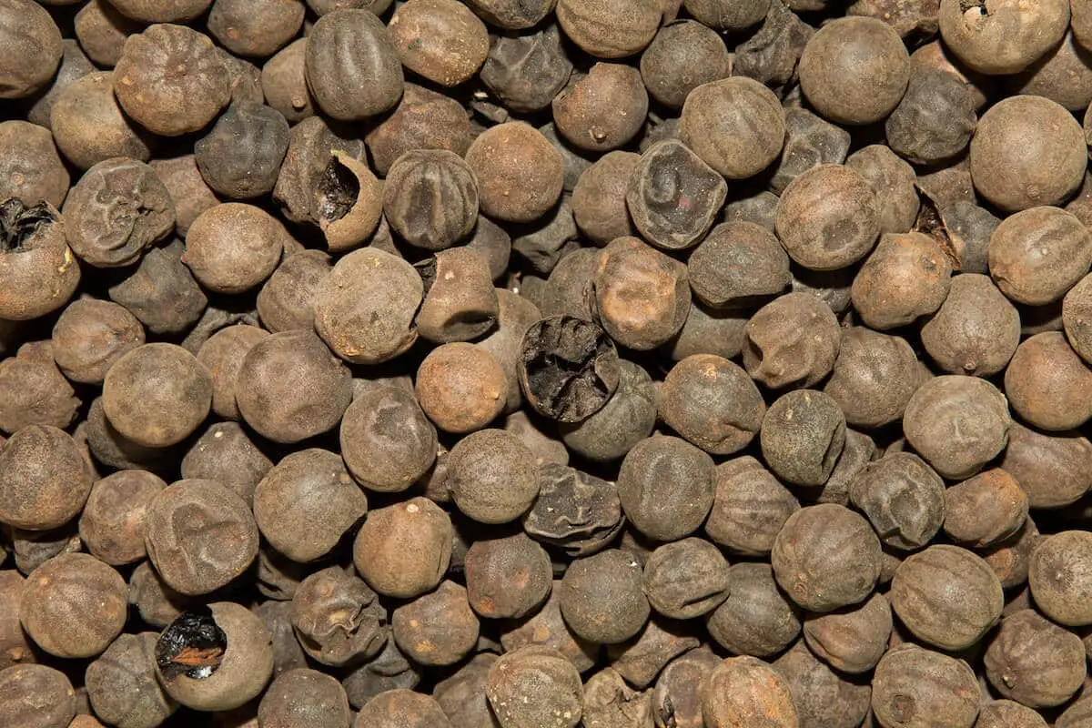 Loomi: história, sabor, benefícios, usos